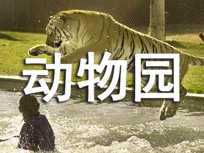 无锡旅游日记英语 （精选6篇）动物园为动物提供舒适、安全的生活条件