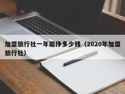 加盟旅行社一年能挣多少钱（2020年加盟旅行社）